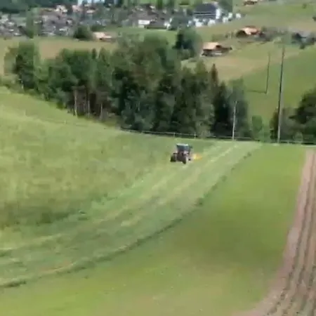 Pony Hof * Heiligenschwendi