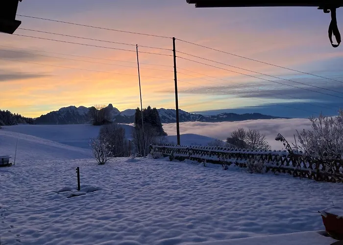 Pony Hof Heiligenschwendi